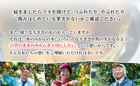 先行予約 ＜無茶々園の伊予柑 約3kg＞ 果物 いよかん イヨカン みかん ミカン 蜜柑 柑橘 フルーツ 選べる内容量 期間限定 季節限定 特産品 愛媛県 西予市【常温】『2027年1月中旬～2月中旬