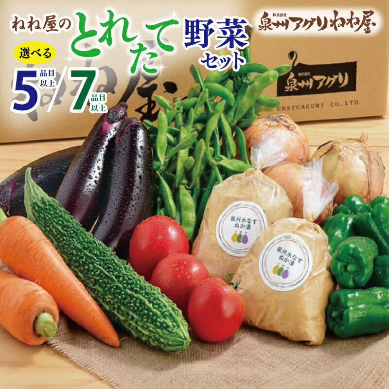 【ふるさと納税】ねね屋のとれたて野菜セット 詰め合わせ 選べる 5品目以上 / 7品目以上 泉佐野産 採れたて 新鮮 旬 泉州野菜 野菜 セット おまかせ 加工品 食品 食べ物 クール便 冷蔵 国産 お取り寄せ 大阪府 泉佐野市 送料無料