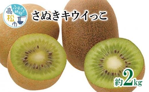 さぬきキウイっこ　約2kg【2025-10月下旬～2025-12月下旬配送】 372013_T006-237J