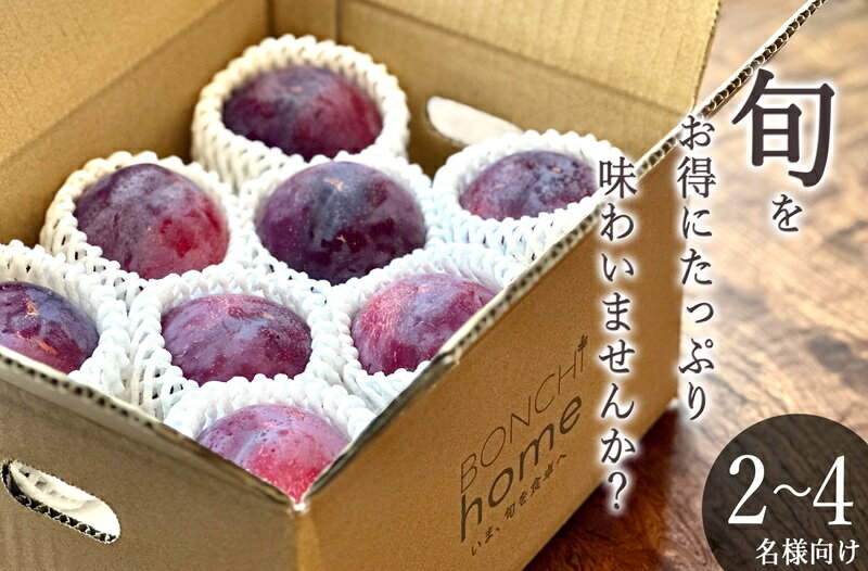 【ふるさと納税】 すもも 訳あり 貴陽 7～10個入り 約1.5kg 果物 フルーツ スモモ 2025年発送 産地直送 7月 8月 発送 数量限定 期間限定 自然農法 山梨 甲州市産 （BNC） 【B15-492】