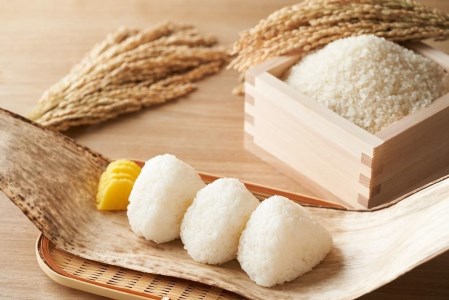 【令和4年産】丹波篠山産 コシヒカリ 20kg(5kg×4袋) DS02