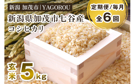 【令和8年産新米先行予約】【定期便6ヶ月毎月お届け】新潟県加茂市 七谷産コシヒカリ 玄米5kg 《10月上旬～順次出荷》 新潟産コシヒカリ 豊かな山水で育った天水米 加茂市 YAGOROU ヤゴロウ