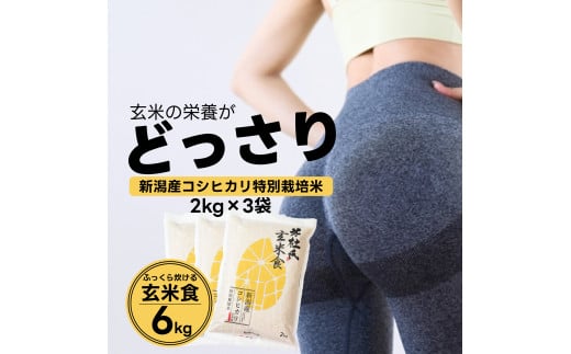 【令和7年産新米】【炊飯器で普通に炊ける玄米】 ふっくら玄米食 6kg（2kg×3） 新潟県阿賀野市産 米杜氏 壱成 特別栽培コシヒカリ 1H31023