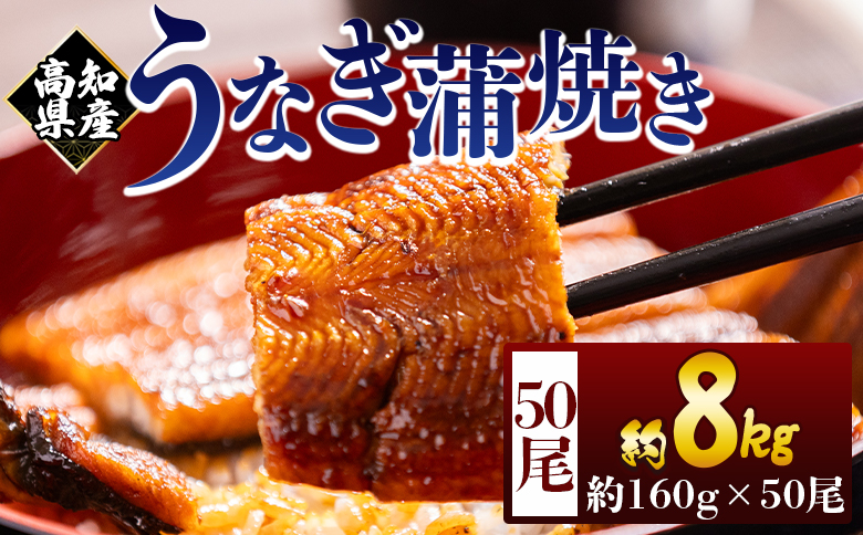 高知県産蒲焼きうなぎ １６０g ５０尾 計８０００ｇ fb-0187