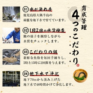【志布志市人気No.1お礼の品】霧島湧水鰻の蒲焼き 140g以上×3尾＜計420g以上＞ うなぎ 鰻 ウナギ 3尾 国産 九州産 蒲焼き かばやき 冷凍 うな重 ひつまぶし タレ 山椒 ランキング 人