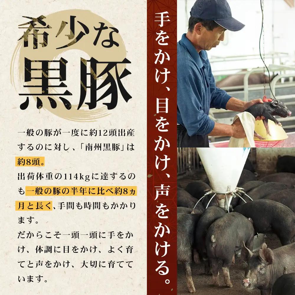 鹿児島県産 黒豚バラエティセットA 約600g (黒豚焼豚200g×1・黒豚ベーコン150g×1・黒豚ボロニア250g×1) NS-510 ｜ 肉 お肉 豚肉 豚 にく ぶた かごしま黒豚 ベーコン 