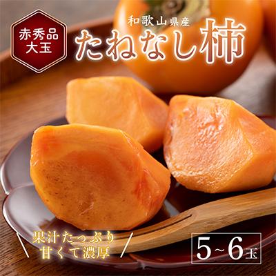 ふるさと納税 那智勝浦町 先行受付!　柿　種無し　赤秀品　超大玉　5〜6個　こだわり農家厳選!