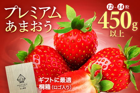 【ふるなび限定】桐箱入り高級あまおうギフト(9～15玉)450g いちご イチゴ 苺 FN-Limited BD015