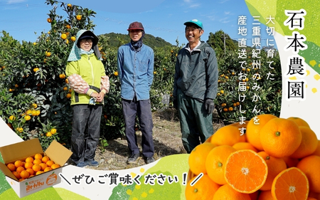 石本農園 の セミノール Ｍ～2Lいずれか 約4kg【2026年3月下旬から4月上旬までに順次発送】/ 柑橘 セミノール 紀宝町 【mis021】