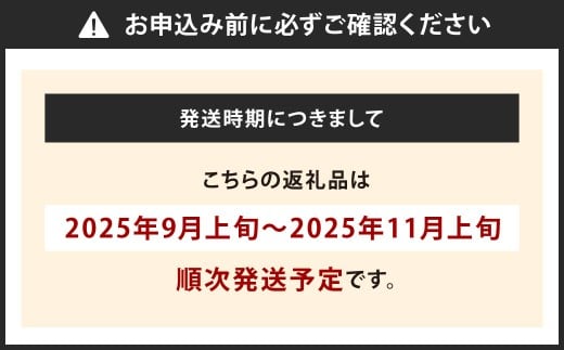 【数量限定】農家直送 シャインマスカット 約1.4kg（2～3房）