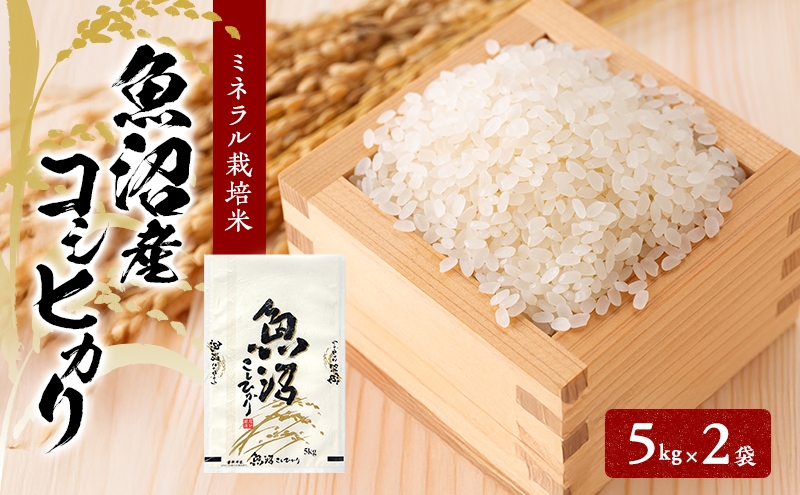 
                  [№5762-1375]先行予約 令和8年産 魚沼産コシヒカリ ミネラル栽培米（精米）10kg（5kg×2）
                