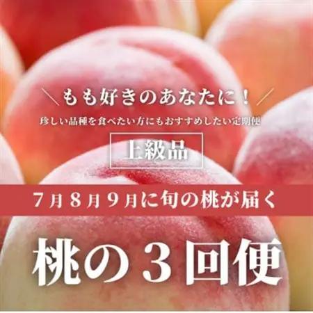 【発送月固定定期便】桃好きの為の桃3回便!(上級品5-7玉入)(岡山産)全3回【配送不可地域：離島】【4061981】