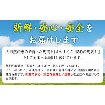 ふるさと納税 南阿蘇村 赤身馬刺し 500g (専用醤油付き150ml×1本) 《60日以内に出荷予定(土日祝除く)》
