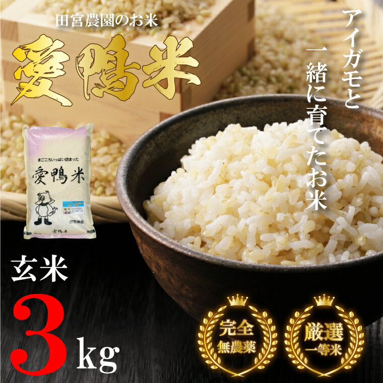 【ふるさと納税】アイガモと一緒に育てたお米「愛鴨米・玄米」3kg｜L-5