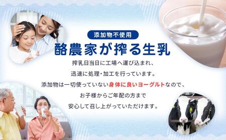 なっとくのむヨーグルト 900ml×6本入 ヨーグルト JS005