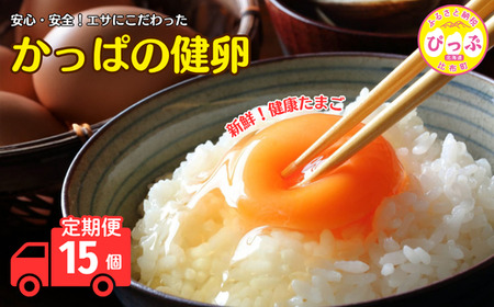 かっぱの健卵 15個 3か月定期便【大熊養鶏場】たまご 卵 玉子 タマゴ 生卵 こだわり 卵かけご飯 TKG 国産 お取り寄せ 北海道 比布町 ぴっぷ 1006-004