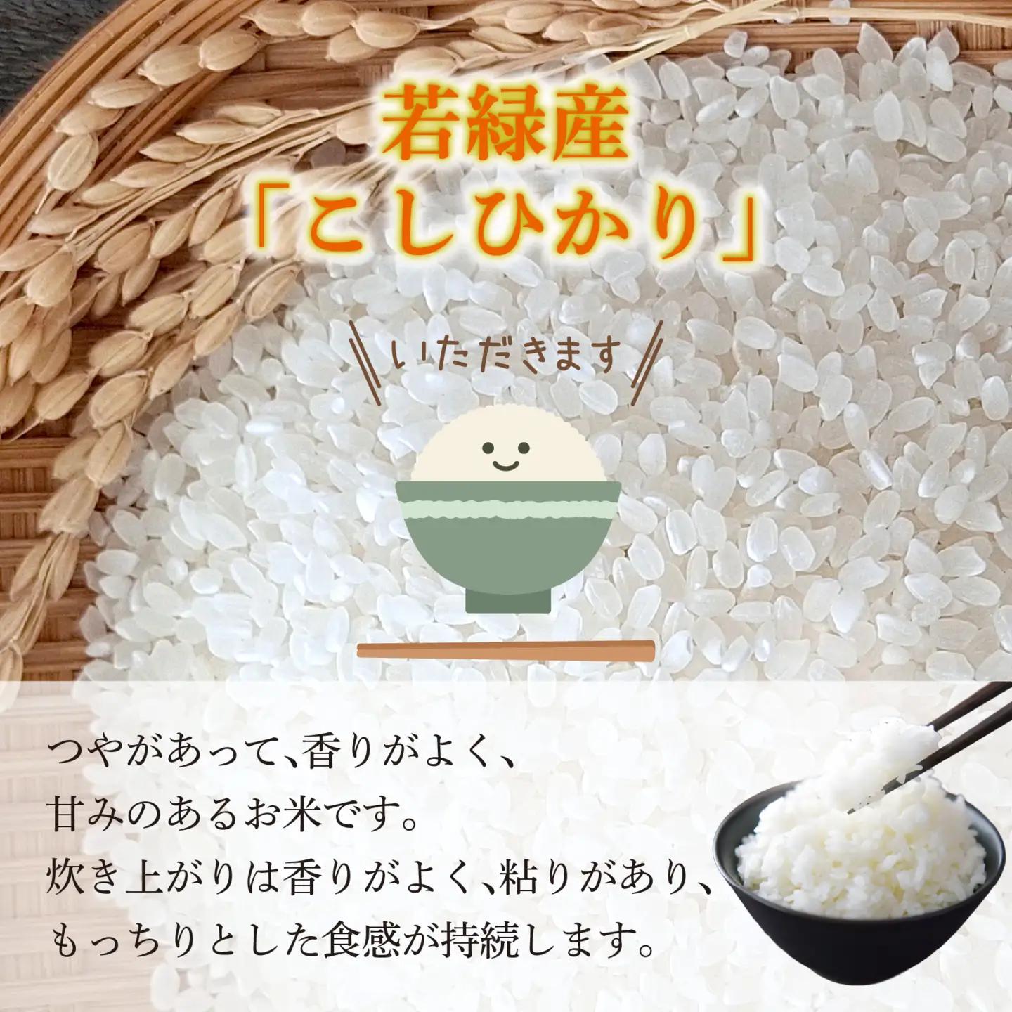 【先行予約】こしひかり 10kg【2026年11月発送】｜ コシヒカリ お米