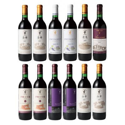 ふるさと納税 池田町 十勝ワイン 赤にこだわったビンテージ 12本セット |  | 01