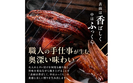 【3回定期便】うなぎ蒲焼き1.0kg以上(250g以上×4尾)【魚住商店】_HB0225 うなぎ 鰻 蒲焼 真空パック 福岡県宗像市 宗像市 福岡 宗像