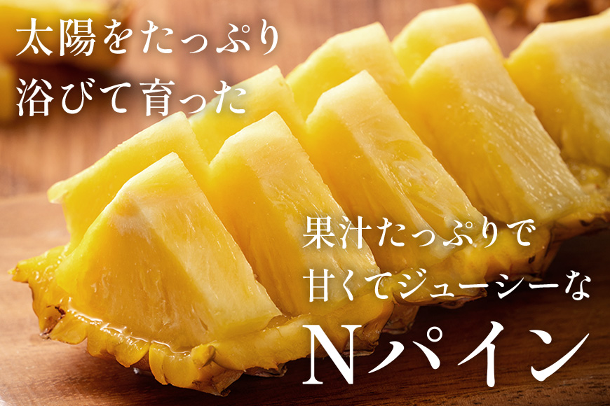 【先行予約 2026年発送】Nパイン2玉　自然の恵み詰まったパイナップル