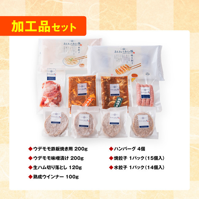 【令和7年7月発送】【かんたん調理で満喫コース】（加工品）さんきょうみらい豚満喫セット【豚肉 ポーク ぶた 国産 宮崎県産 さんきょうみらい豚 大人気】