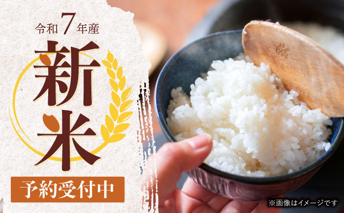 (令和7年産)特別栽培米 にこまる10kg  / 米 こめ コメ おこめ お米 白米 精米 にこまる kome 長崎県産 / 諫早市 / 宮下農園  [AHCG009]