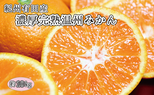 完熟有田みかん　10kg　※2025年11月下旬頃〜2026年1月下旬頃に順次発送予定(お届け日指定不可)【uot705】