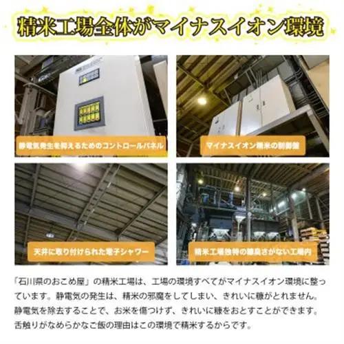 奥能登コシヒカリ「門前米」5kg_ 精米 米    コシヒカリ 米 こしひかり_【1469645】