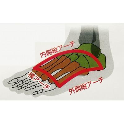 ふるさと納税 稲美町 オーダーインソール・ケンプランター |  | 01