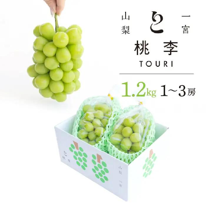 【2026年発送★先行予約】シャインマスカット約1.2kg（1～3房） 122-014-26y ※北海道・沖縄・離島は配送不可