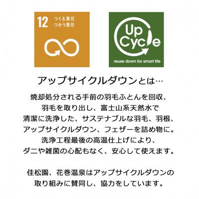 ふるさと納税 花巻市 ダウンパッド(羽毛敷きパッド)クイーン [サステナブルなダウン×抗菌防臭生地] |  | 01