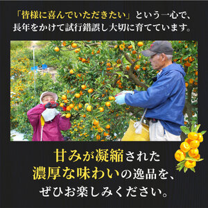 有田 みかん 小玉 5kg 【 創業120年 農家直送 】 / 温州みかん 有田みかん 甘い 小粒 和歌山 柑橘 ※2026年11月中旬～2027年1月下旬に順次発送  【isy004-s-5A】