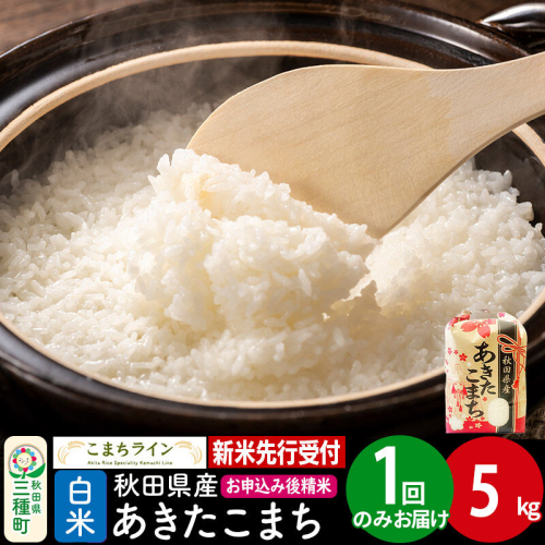 《新米先行受付》【白米】あきたこまち 5kg 秋田県産 令和8年産 こまちライン [秋田 お米 米どころ あきたこまち こまちライン]