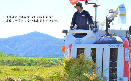【令和7年度産】＼農家直送！出荷日精米／茨城県産 ミルキークイーン ほたる 10kg 5kg×2袋 茨城県共通返礼品 かすみがうら市産 米 お米 白米 こめ 精米 取り寄せ 特産 ごはん ご飯 コメ 