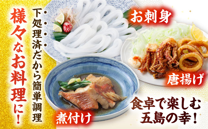 金澤仕立て 鮮魚ボックス（旬の魚3種・アオリイカ・魚醤油2種）五島市/金沢鮮魚 [PEP003]