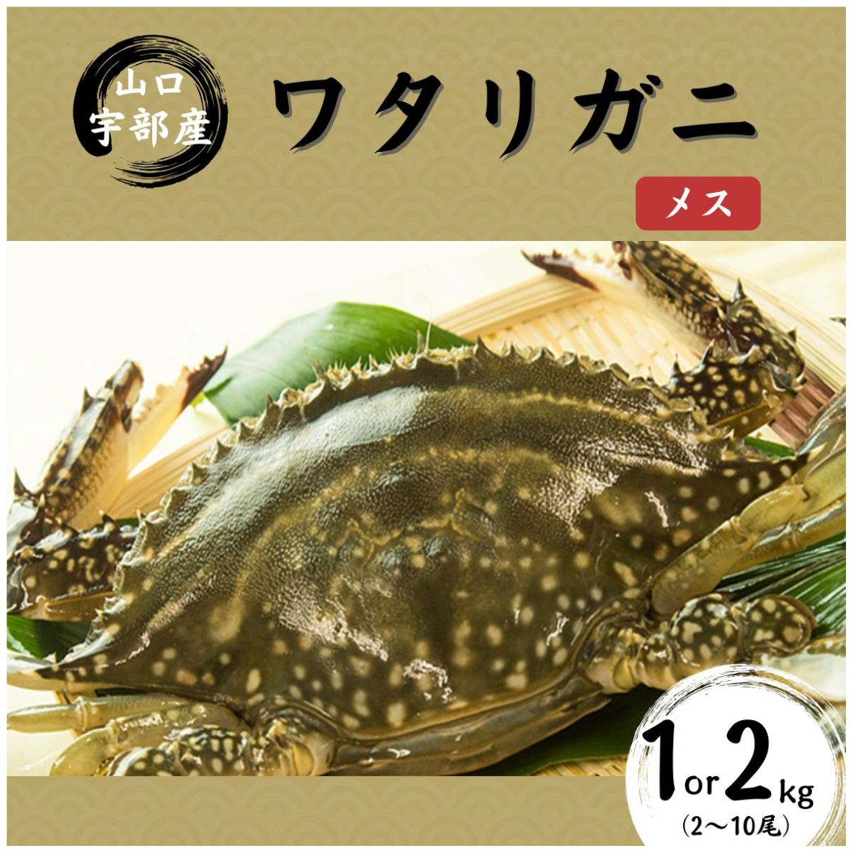 【ふるさと納税】【先行予約】【北海道・東北・沖縄・離島配送不可／着日指定必須】＼選べる内容量／ワタリガニ [メス] 1kg(2～5尾)or2kg(5～10尾) | 鍋 パスタ 味噌汁 カニ 超 新鮮 ゆでる 蟹 かに 蟹みそ 醤油漬け 料理 お祝い 魚介 山口県 宇部市