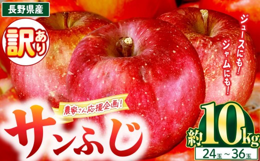 農園応援企画 訳アリ サンふじ 10kg(24～36玉)｜りんご アップル 松本市 家庭用 フードロス サンふじ りんご 林檎 果物 フルーツ 信州 美味しい 訳アリ 長野県