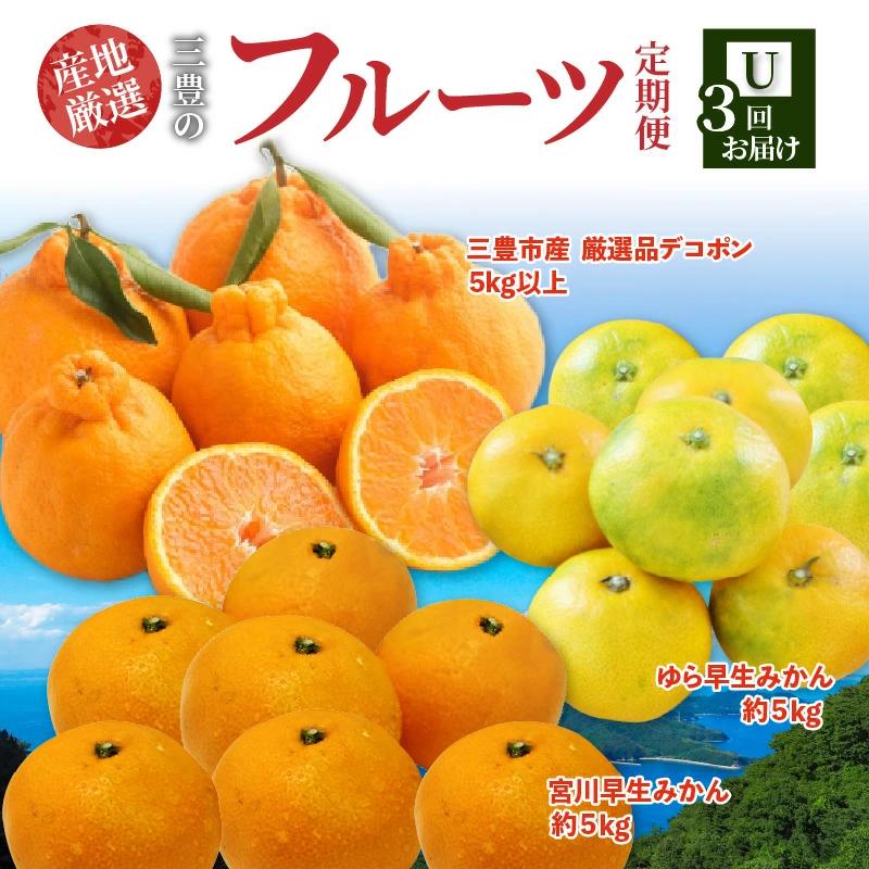 【ふるさと納税】【配送不可地域：北海道・沖縄県・離島】定期便 3回 フルーツ ゆら早生みかん 果汁たっぷり 三豊市産 厳選品 デコポン 宮川早生みかん Ｓ〜Ｌサイズ 甘み 酸味 旬の季節 お届け 香川県 三豊市 お取り寄せグルメ お取り寄せ 送料無料