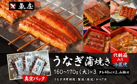 うなぎ蒲焼き鰻の里魚庄うなぎ【蒲焼大】