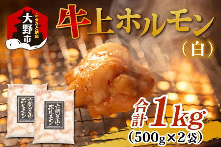 ホルモンの老舗 六間星山の牛上ホルモン（白）500g×2袋 計1kg [A-026002]