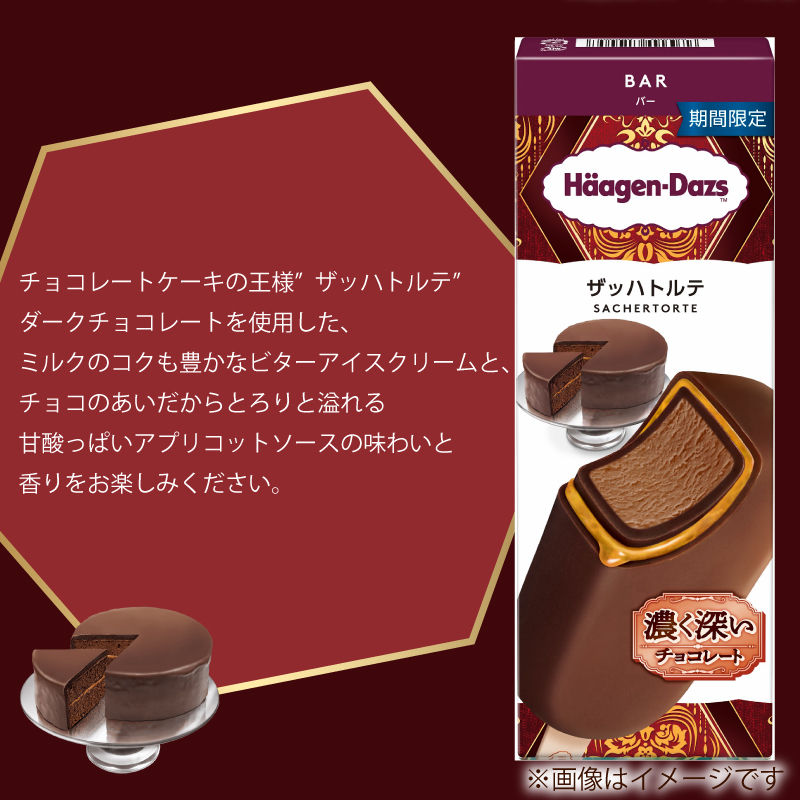 期間限定フレーバー ハーゲンダッツ バー セット 7本入 ザッハトルテ ｜ ハーゲンダッツ アイスクリーム ギフト セット 詰め合わせ ザッハトルテ 愛媛県 松前町