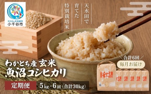 【6か月定期便 コシヒカリ】令和8年産 玄米 魚沼産コシヒカリ 特別栽培米 わかとち産 棚田米 合計30kg（5kg×毎月お届け全6回）Mt.ファームわかとち | 魚沼産こしひかり 魚沼コシヒカリ 新潟県産コシヒカリ 新潟産コシヒカリ こしひかり 特別栽培米 棚田米 わかとち お米 米 白米 玄米 コメ 5キロ 定期便 にいがた おぢや 新潟県 小千谷市 【0013-0013DB00】