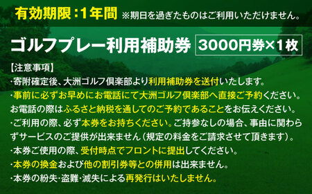 大洲ゴルフ倶楽部 ゴルフプレー利用補助券 3000円券×1枚 愛媛県大洲市/大洲観光株式会社 | ゴルフ場 プレー プレー券 旅行 体験[AGDI002]