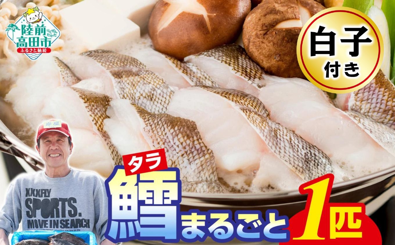 
                  【白子付き】 タラまるごと 1匹 ※下処理可能 冷蔵でお届け 鮮魚 【 鱈 タラ 海鮮 魚介 お刺身 三枚おろし アラ 鍋 海鮮鍋 宴会 お祝い 時短 便利 】 RT3276
                