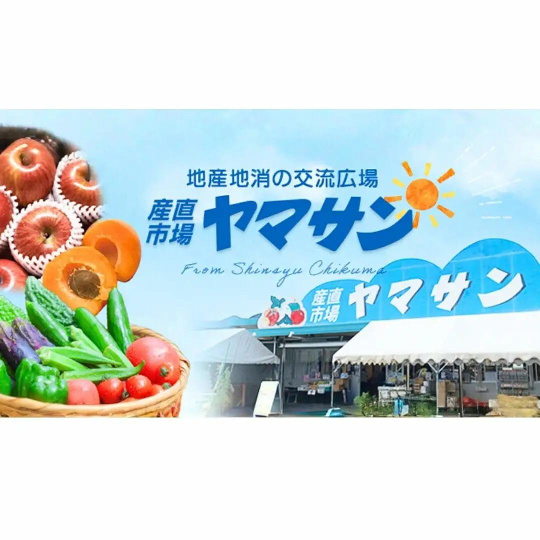 【2026年先行予約】りんご 訳あり サンふじ 約10kg | りんご