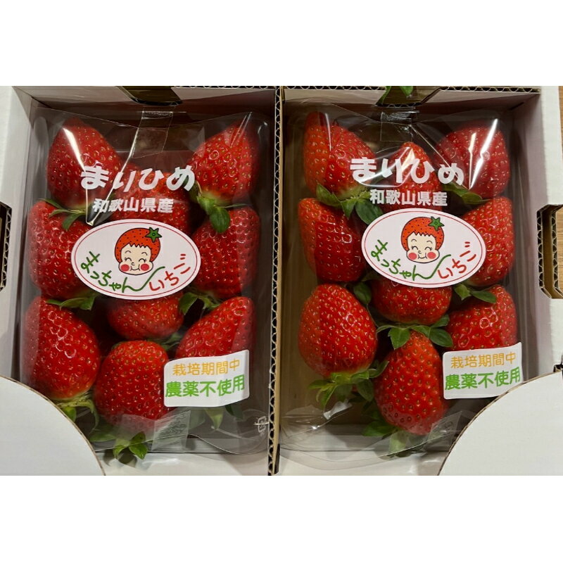【ふるさと納税】和歌山のいちご「まりひめ」2パック(A1084-1)