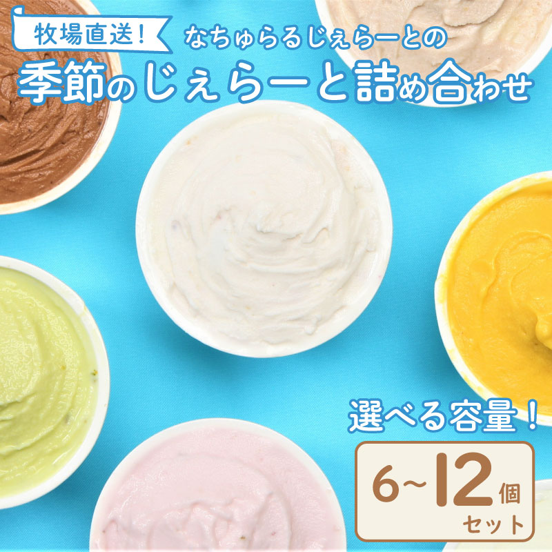 【ふるさと納税】 ジェラート 6～12個セット なちゅらる ジェラート 日付指定 いちご ミルク チョコ ブルーベリー チーズ お茶 緑茶 紅茶 ほうじ茶 ラム レーズン ピスタチオ 塩 キャラメル アイス ジェラート セット 季節 お茶 母の日 12個 F02 F04_01 nakano001