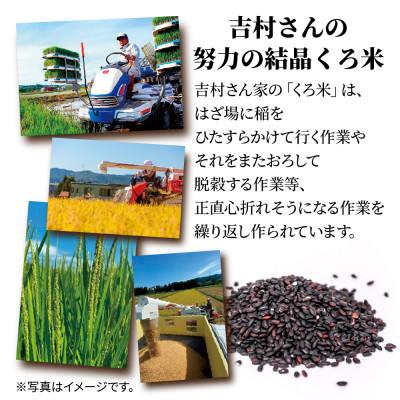 ふるさと納税 十日町市 黒米入り パックごはん 150g×20個 1ケース 魚沼産コシヒカリ使用 吉村さんちの米 |  | 01