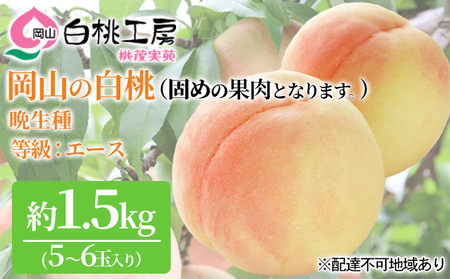 固めの 桃 先行予約 白桃 晩生種 1.5kg 5～6玉 もも モモ 果物 桃