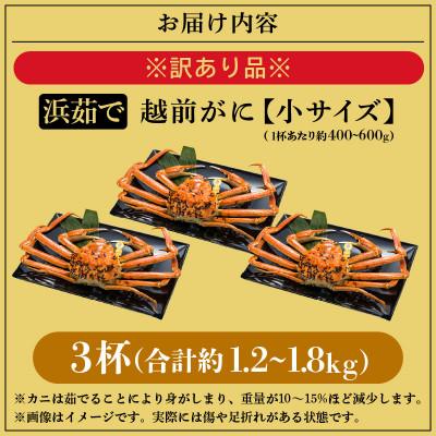ふるさと納税 越前町 【訳あり】≪浜茹で≫越前がに 小サイズ(生で約400〜600g) × 3杯【1月より順次発送】 |  | 03